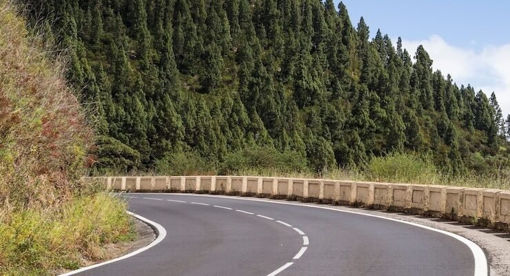 trees landscape with freeway 23 21482560211 e1748913186294