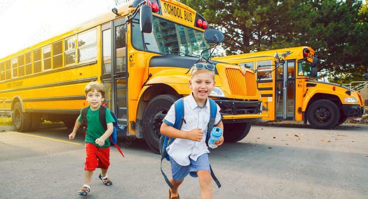 ۵ قانون اتوبوس مدرسه